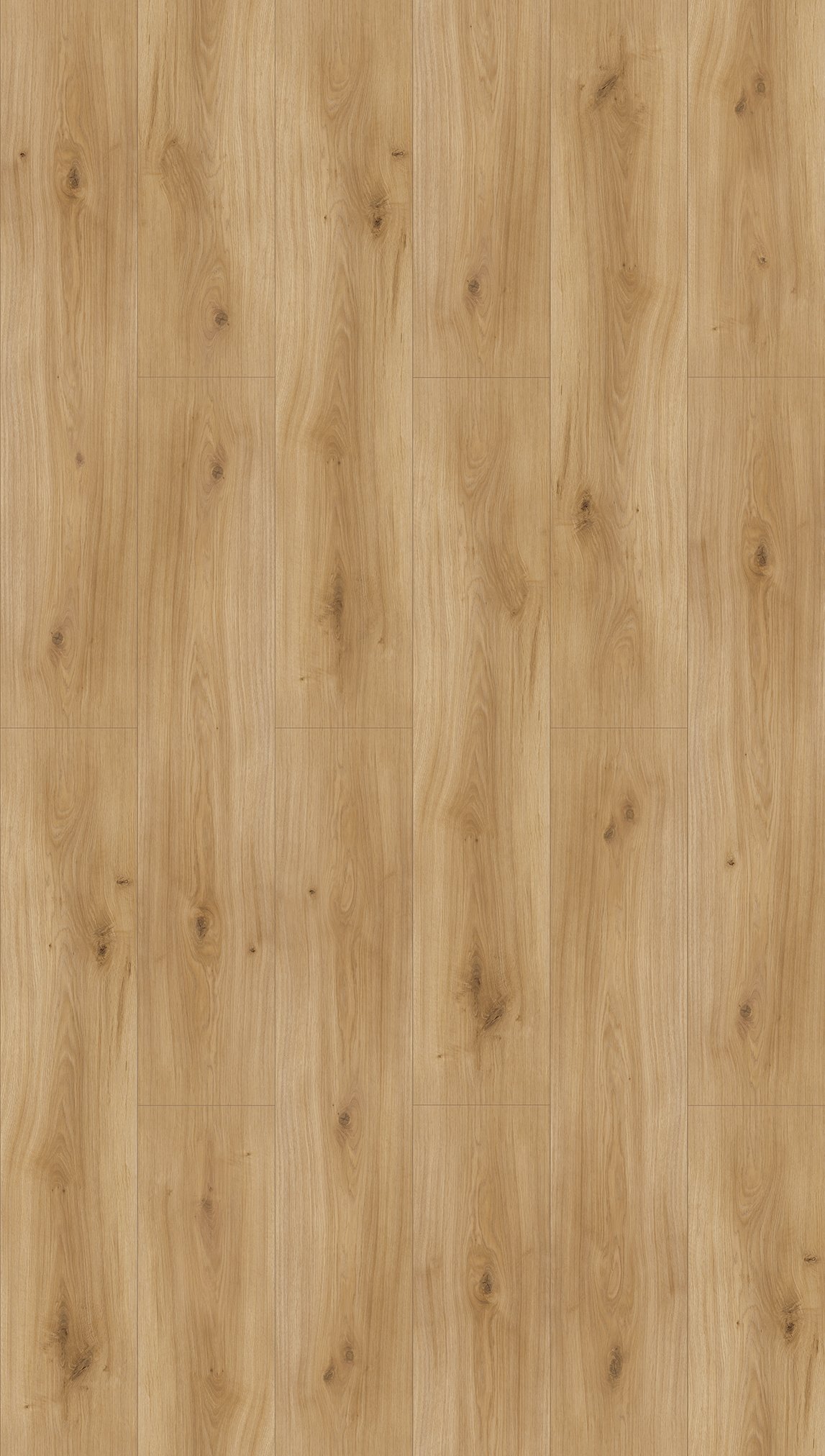 parador-basic-600-laminat-eiche-horizont-natur-breite-landhausdiele-4-v-fuge image 2