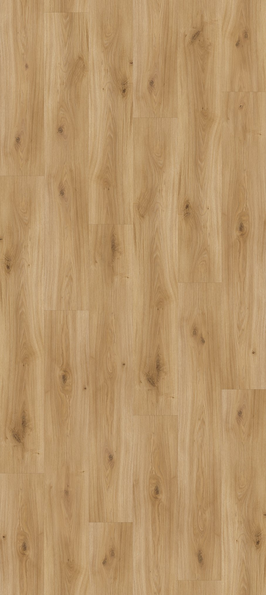 parador-laminat-basic-400-eiche-horizont-natur-landhausdiele image 2