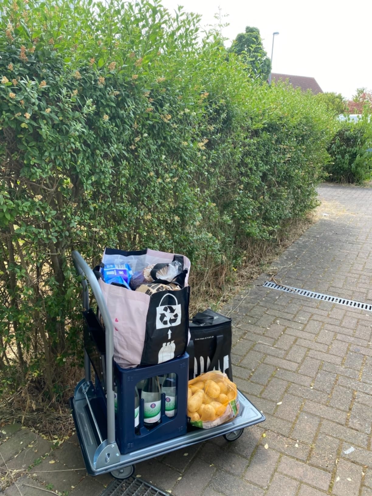 Guter Transportwagen