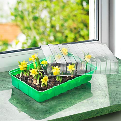 meister-zimmer-gew-chshaus-flor79020-anzuchthaus-36-x-22-x-13-cm-f-r-18-pflanzen image 7