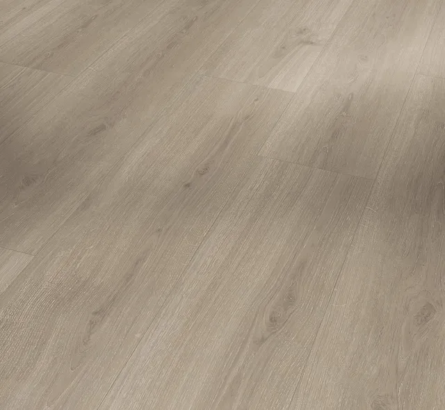 parador-designboden-vinyl-basic-5-3-eiche-regent-grau-landhausdiele image 1