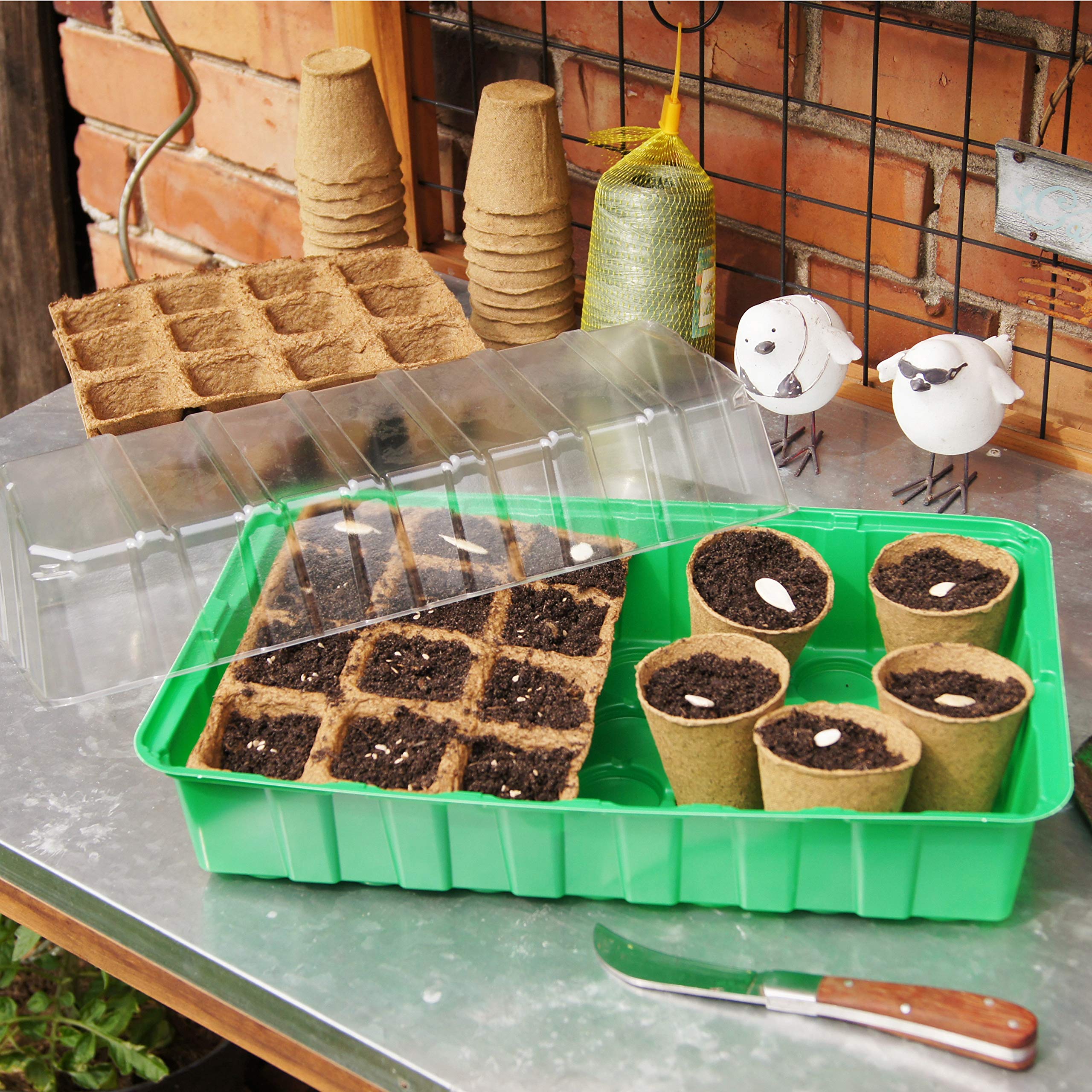 meister-anzuchtt-pfe-4x4-cm-48-st-ck-torffrei-zellulose-flor79115 image 4