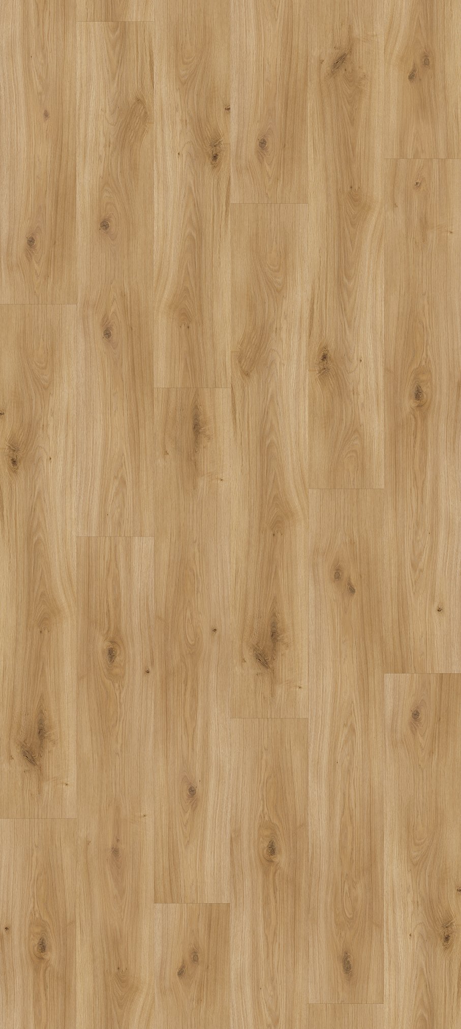 parador-laminat-basic-200-eiche-horizont-natur-landhausdiele-1285x194mm image 2