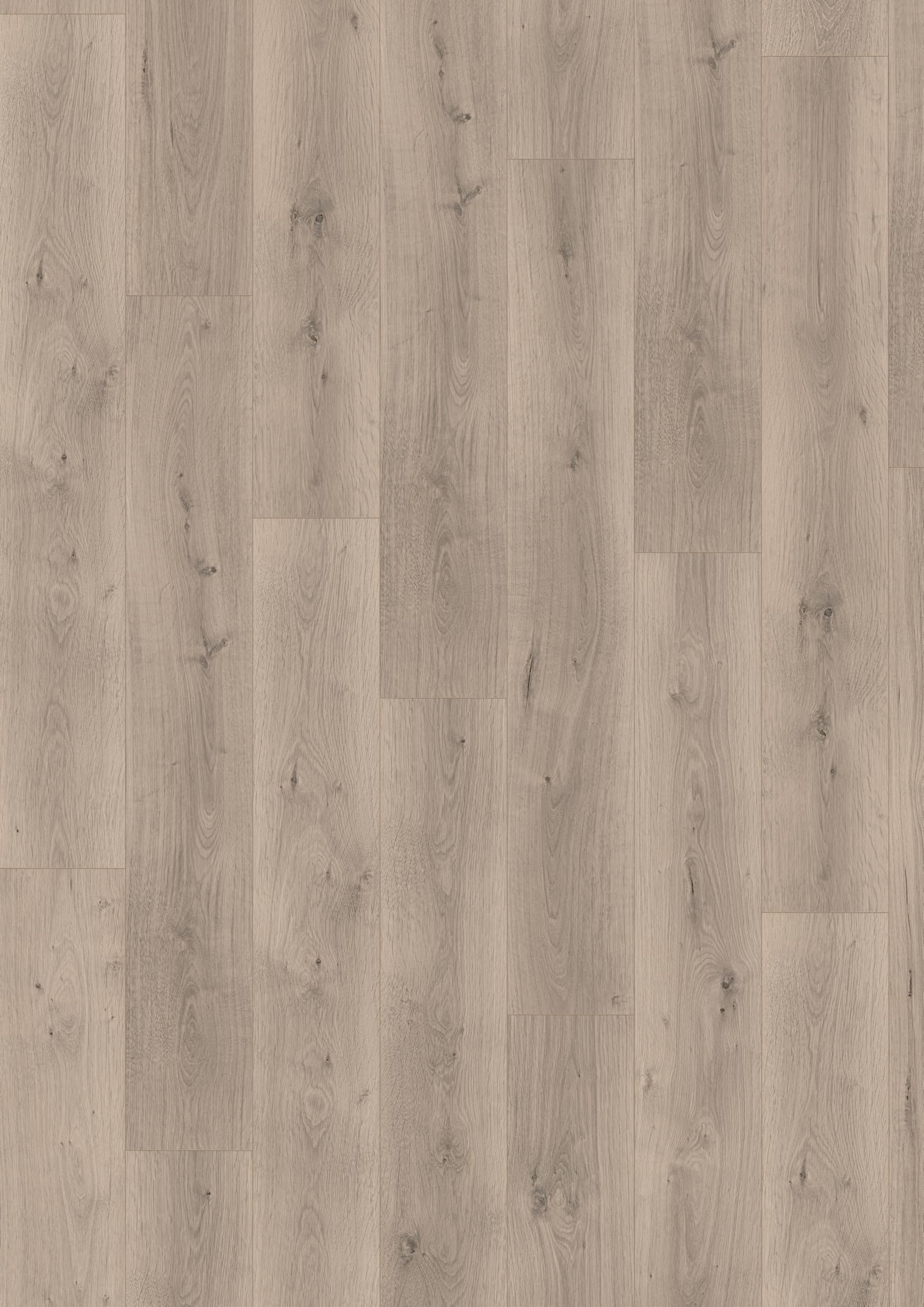 egger-naturesense-aqua-laminat-el2112-pinot-eiche-hellgrau-1292x193x8mm image 3