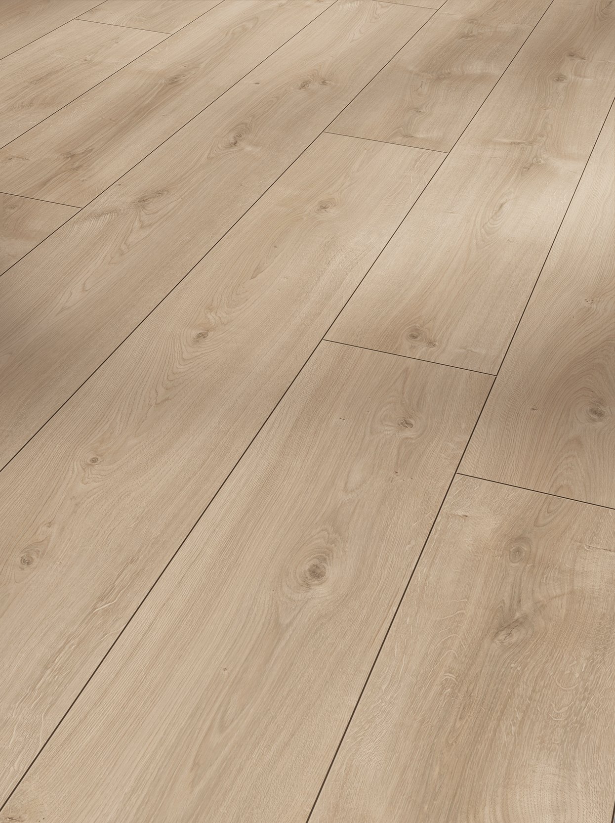 parador-laminat-trendtime-6-eiche-avant-geschliffen-schlossdiele-4-v-fuge image 1