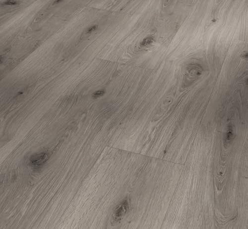 parador-trendtime-8-vinyl-eiche-imperial-lichtgrau-gro-diele-4-fase image 7