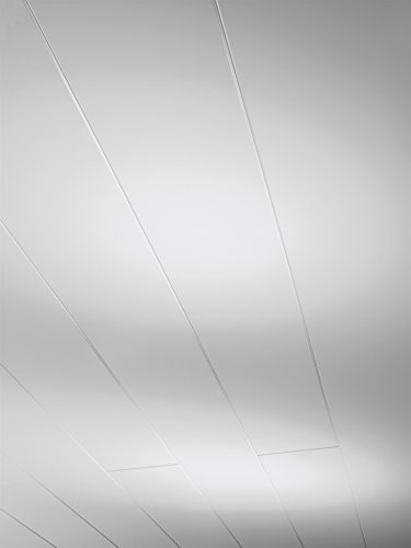 parador-novara-wand-und-deckenpaneel-seidenmatt-wei-4092-x-192-x-10-mm image 3