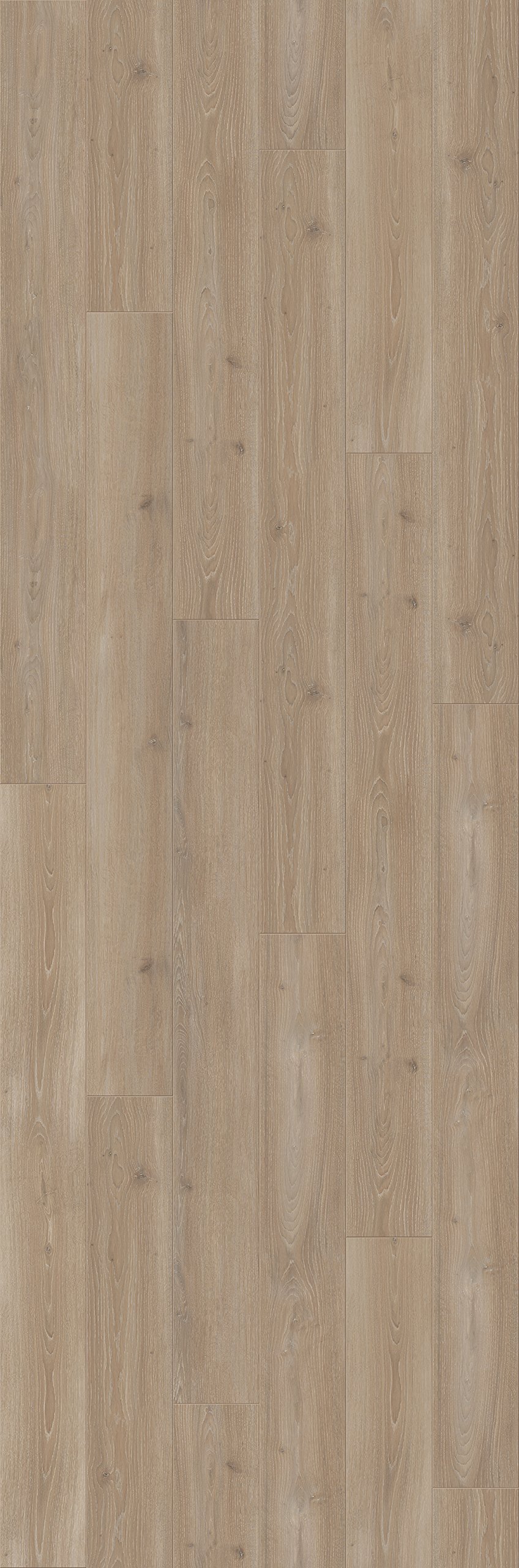 parador-trendtime-6-laminat-schlossdiele-4-v-fuge-eiche-skyline-perlgrau-naturma image 2