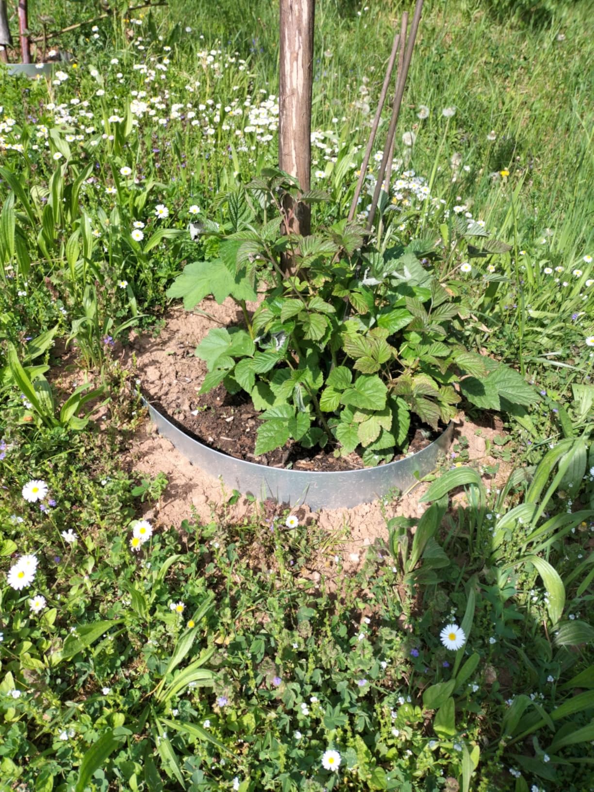 Praktisch für den Schrebergarten