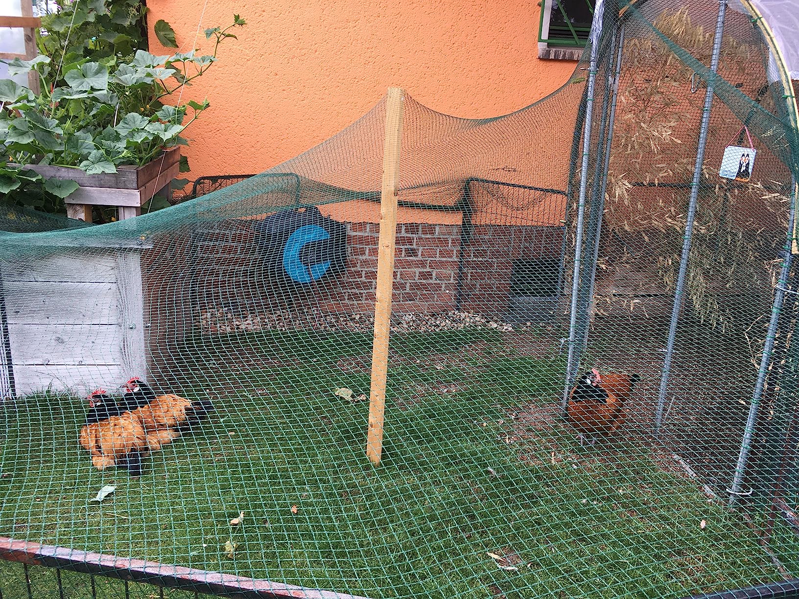Ganz okay, etwas dünn