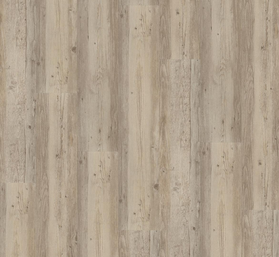 parador-basic-4-3-vinyl-vollmaterial-pinie-wei-ge-lt-s-gerau-landhausdiele image 2