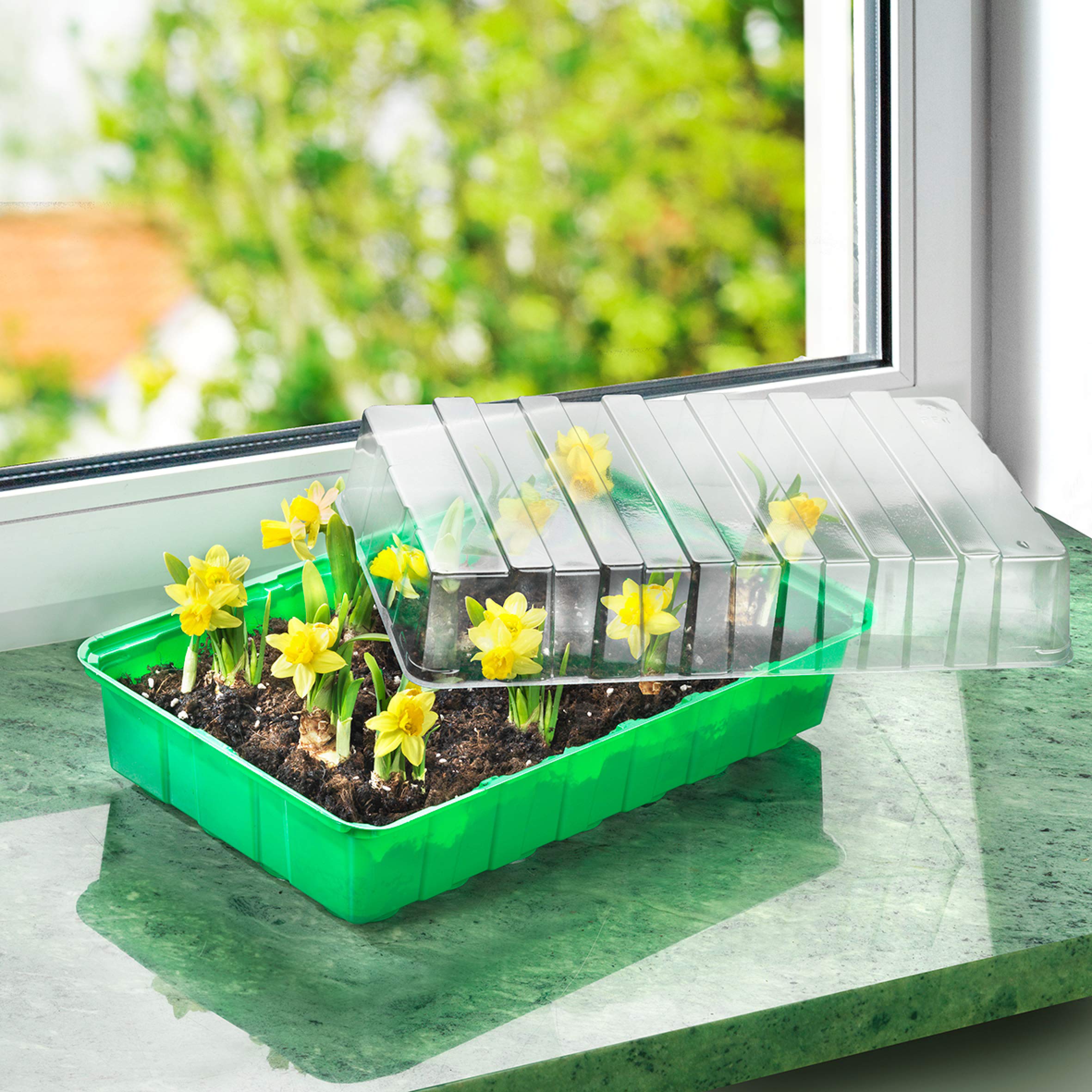meister-zimmer-gew-chshaus-flor79020-anzuchthaus-36-x-22-x-13-cm-f-r-18-pflanzen image 2