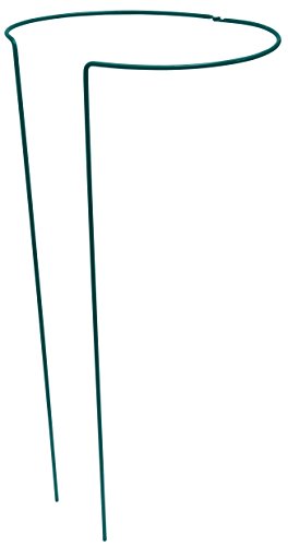 meister-connex-staudenst-tze-33x33x70-cm-flexibel-gr-n-flor78456 image 2