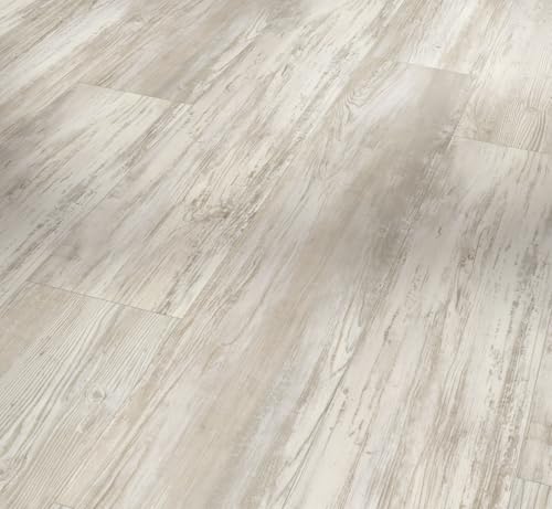 parador-basic-5-3-vinyl-pinie-skandinavisch-wei-landhausdiele-4-seitige-fase image 7