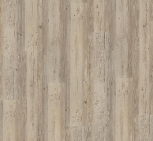 parador-basic-4-3-vinyl-vollmaterial-pinie-wei-ge-lt-s-gerau-landhausdiele image 7