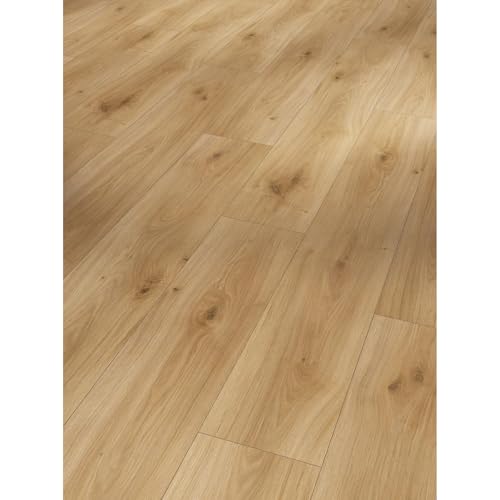 parador-basic-200-laminat-eiche-horizont-natur-landhausdiele-4-v-fuge image 8