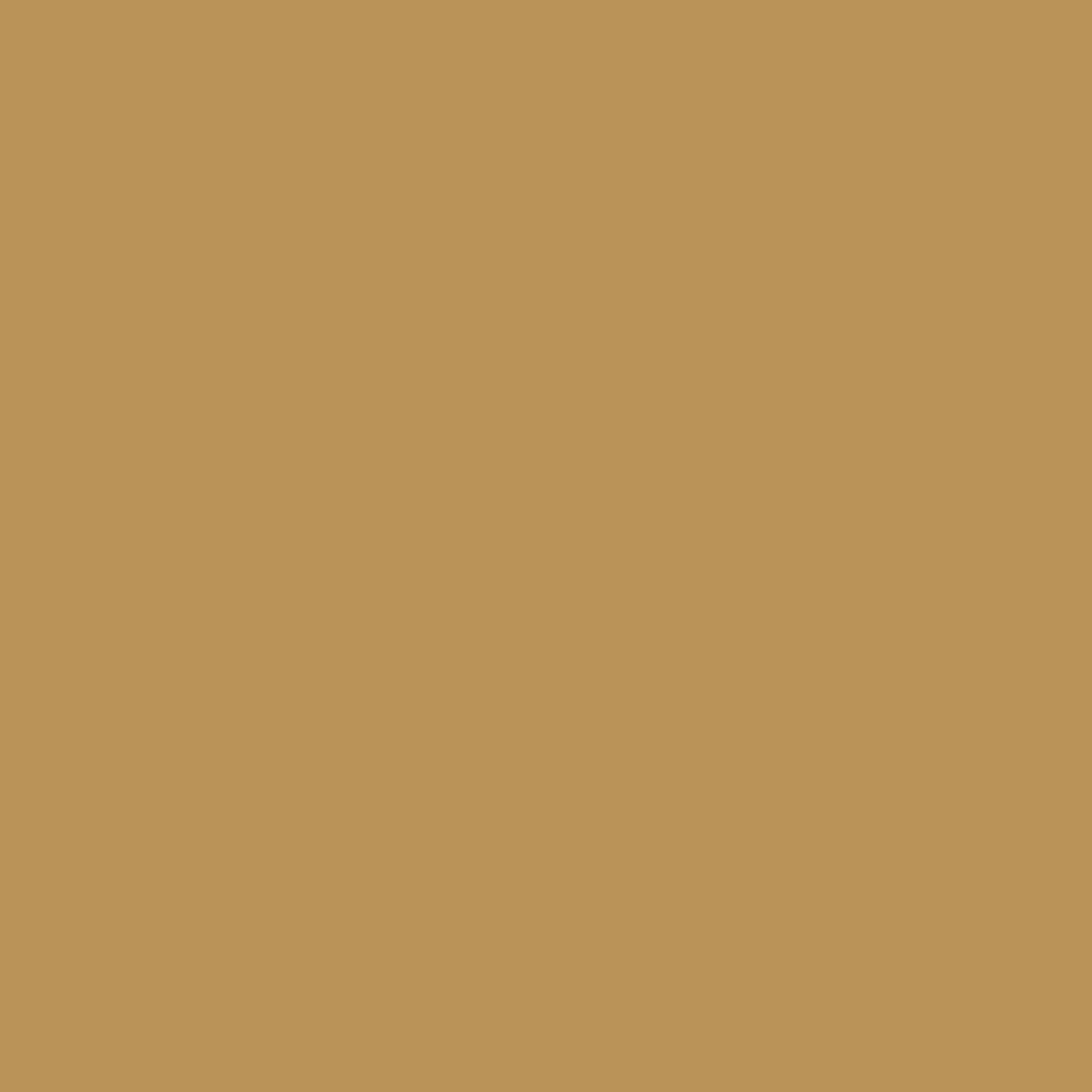 parador-wandfarbe-ochre-no-106-ockergelb-2-5-l-matt image 3
