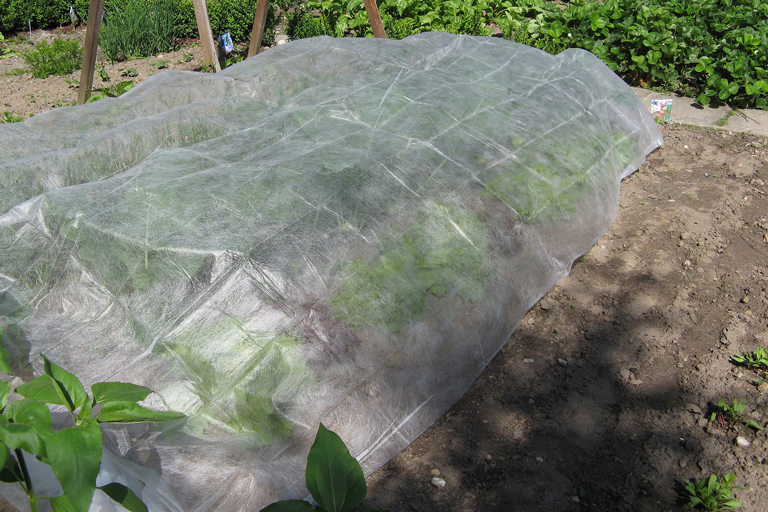 meister-fr-hbeetvlies-flor80230-5x1-5m-30g-m image 2