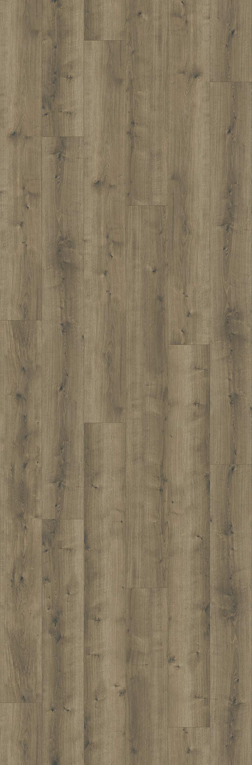 parador-modular-one-designboden-eiche-pure-perlgrau-schlossdiele image 2